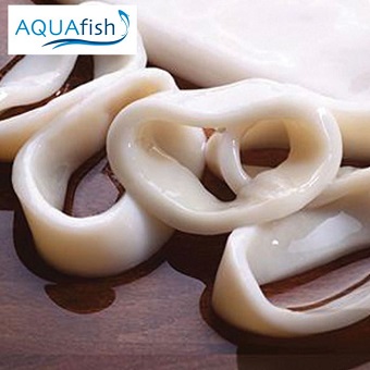 Aquafish Raw Squid Rings-1x1kg01